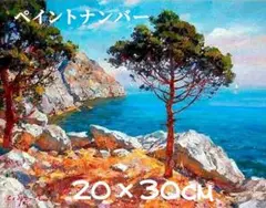 きみかん様 リクエスト 2点 まとめ商品