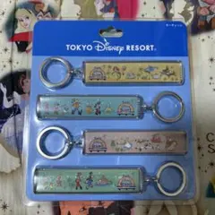 東京ディズニーリゾート アクリルキーホルダー 4個セット
