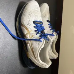 ASICS バレーボールシューズ ホワイト/ブルー/ゴールド