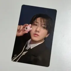 Straykids たまごっち トレカ チャンビン SKZOO