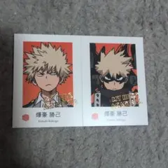 僕のヒーローアカデミア　Wariふぉと　レアパラレル