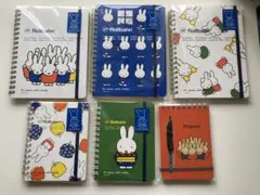 Item thumbnail for item 6ffe55c5-f6a6-49c2-a230-79ebea776cde