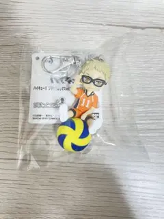 ハイキュー‼︎ プチっとのりマス vol.1 月島蛍