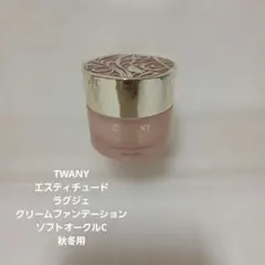 廃盤 希少 トワニー エスティチュード ラグジェ パウダー ファンデ