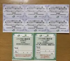 JR東日本　株主優待券　ガーラ湯沢スキー場　コラボ宿泊優待券