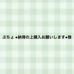 ぷちょ ●納得の上購入お願いします●様