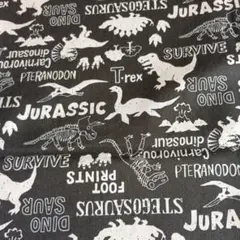 Item thumbnail for item dad18343-365f-4660-a04b-c444d82984e5