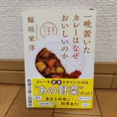 一晩置いたカレーはなぜおいしいのか : 食材と料理のサイエンス