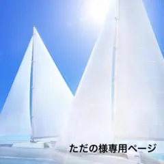 ただの様専用ページ
