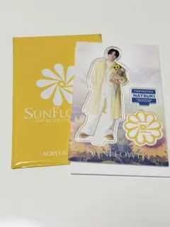【未使用非売品/匿名配送】澤本夏輝 トラキン アクスタ 浴衣 2026年最新】澤本夏輝 アクスタの人気アイテム - メルカリ