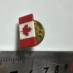 非売品】関西万博 カナダパビリオン ピンバッジ - メルカリ