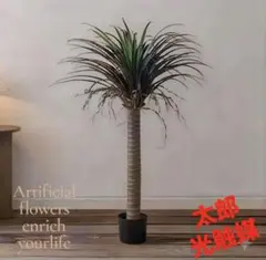 光触媒　観葉植物　ウォールグリーン　フェイクグリーン　ユッカロストラータ140のサムネイル