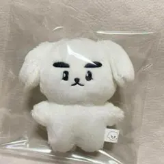 2025年最新】シャオジュン ぬいぐるみの人気アイテム - メルカリ
