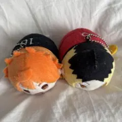 ハイキュー!! もちもちマスコット 日向翔陽 孤爪研磨