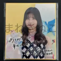 日向坂46 ひなコレ チャレンジくじ B賞 C賞 色紙 キーホルダー 小坂
