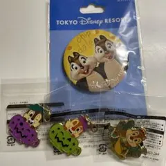 東京ディズニーリゾート チップとデール ピンバッジ 4点セットのサムネイル