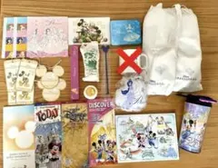 ディズニー　アンバサダーホテル　プリンセス非売品ポストカード　25周年セット