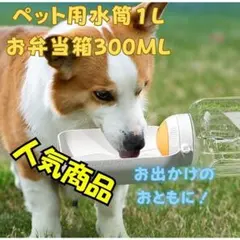 Item thumbnail for item 164fcf8a-9edc-499a-9c5a-bc599cedce64