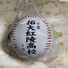 ☆片山萌美☆始球式サインボール&サイン入りチェキセット◇ ☆片山萌美☆始球式サインボール&サイン入りチェキセット◇ - メルカリ