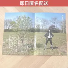 twice チェヨン　ポスター　lil fantasy 封入 chaeyoung