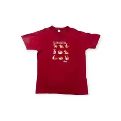 でかサバデビちゃんTシャツ】Ash/Lサイズ - メルカリ