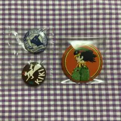 ジブリ 缶バッジ