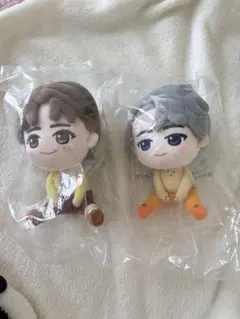 seventeen JUN ジュン ぬいぐるみ フォトカード FOLLOW 公式 - メルカリ