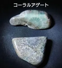 medusa様 リクエスト 2点 まとめ商品