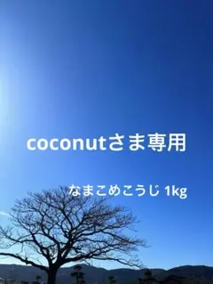 【coconutさま専用】1/17仕上がり分 なまこめこうじ 1kg