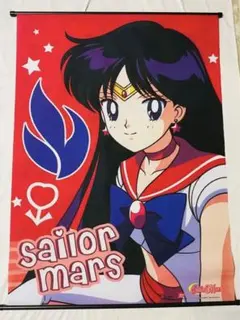 2026年最新】タペストリー セーラームーンの人気アイテム - メルカリ