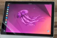Surface Pro Ubuntu OS