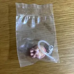 こびとづかん カクレモモジリ めじるしアクセ