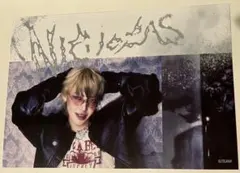 &TEAM Back to Life ニコラスNICHOLAS ポストカード