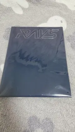 SnowMan RAYS パンフレット