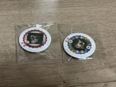 2026年最新】鬼滅の刃プリロール缶バッジの人気アイテム - メルカリ