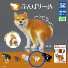 ジャックラッセルテリア カプセルトイ