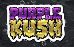 Item thumbnail for item 896603f6-ebd9-4048-b5de-c484bb027132