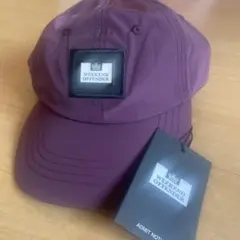 Item thumbnail for item e96b015f-80e1-45d1-9e9e-18c62e56f825