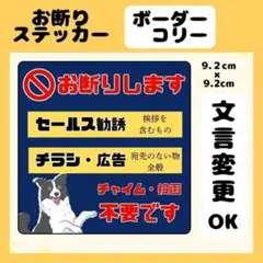 【ボーダーコリー】お断りステッカー　チラシ　勧誘　セールス　広告　高耐久　防水