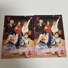 JUNON イケメントランプ　2枚セット　WILDBLUE