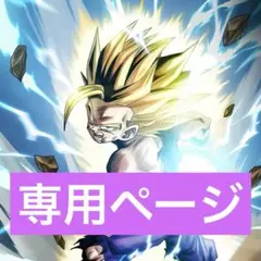 サーヤ様専用ページ