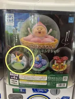 こびとづかん カプリウムコレクションガチャ　ホトケアカバネ
