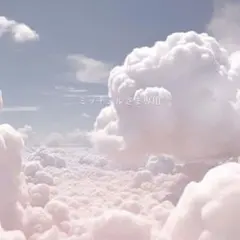 専用ページ