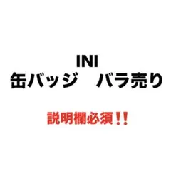 INI 缶バッジ バラ売り 説明欄必須のサムネイル