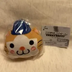 プロ野球マスコット フェイスぬいぐるみ DB.スターマン