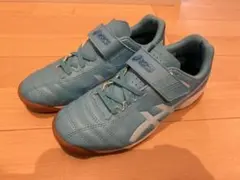 てるてるぼーずちゃん様／ASICS トレシュー22cm ベルクロ ライトブルー