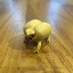 アメフクラガエル　ガチャのサムネイル