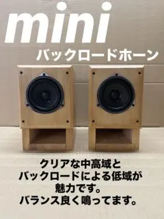 2026年最新】バックロードホーンの人気アイテム - メルカリ