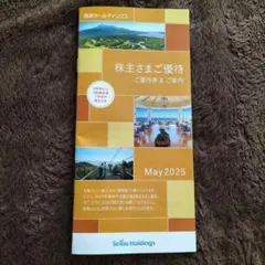西武ホールディングス 株主優待券 2025年11月30日まで