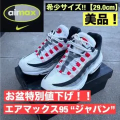 2026年最新】NIKE AIR MAX 95 29の人気アイテム - メルカリ